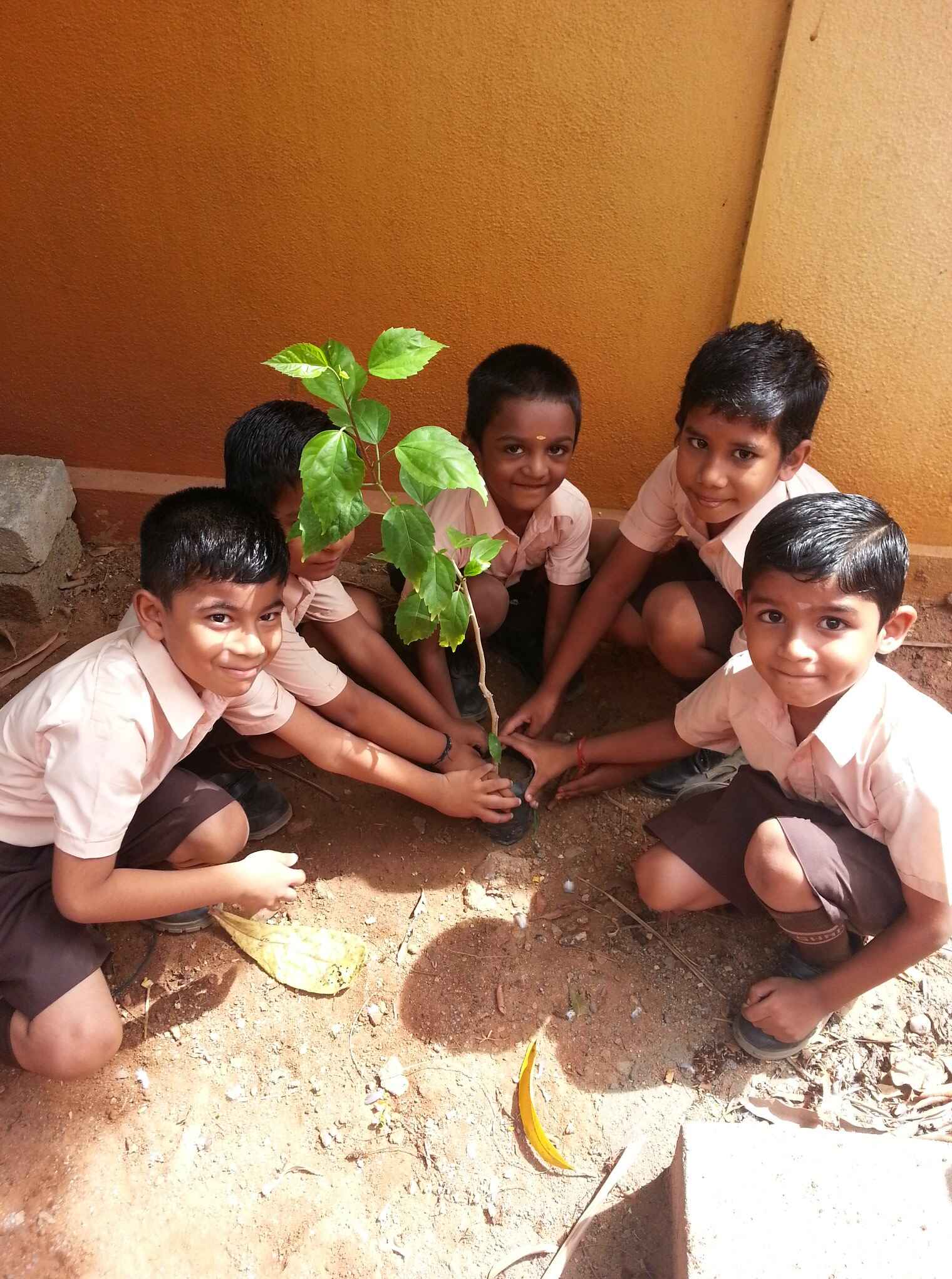 Grow Trees. Save Environment!